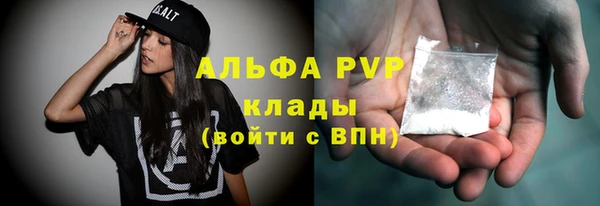 твердый Надым