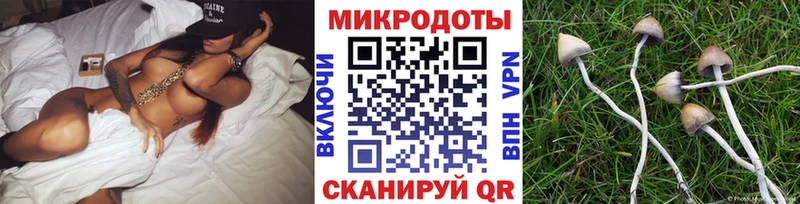 kraken   Чулым  Галлюциногенные грибы прущие грибы 